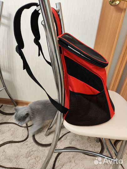 Рюкзак для кошек