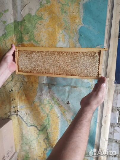 Сотовый Мёд, фасованый мед