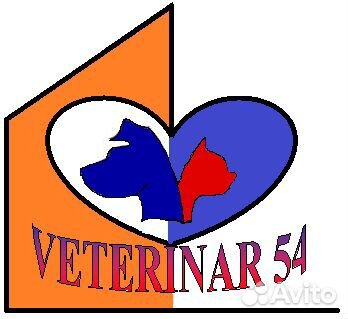 Льготная кастрация/стерилизация животных