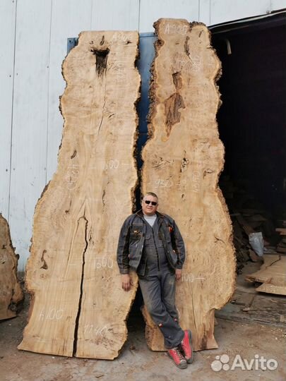 Слэбы из дерева карагач и другие породы