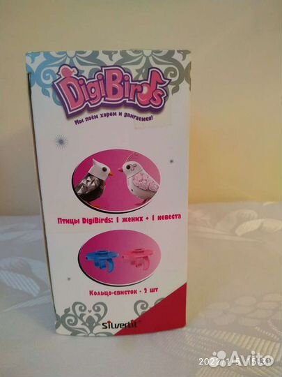 Птицы поющие