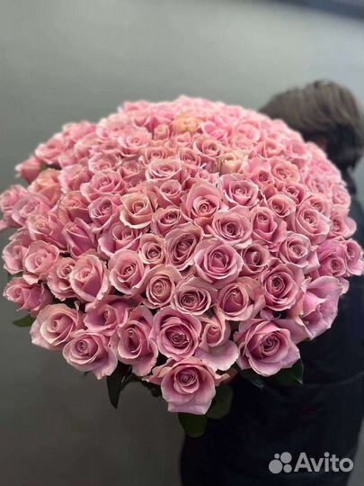 101 роза длина 80см. Голландия с доставкой