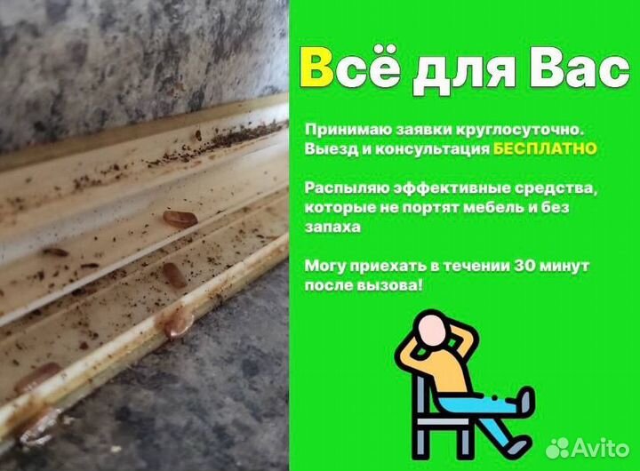 Уничтожение тараканов и клопов дезинфекция