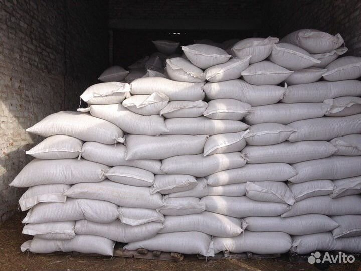 Зерно оптом Череповец