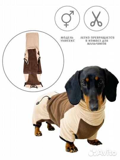 Одежда для таксы