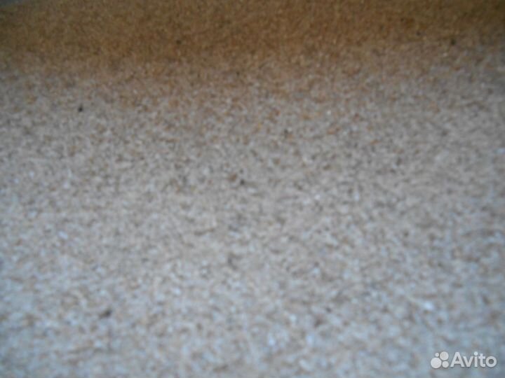 Меченосцы рыбки,грунт,ряска,грот,ампулярии