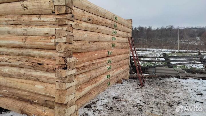 Принимаем заказы на срубы