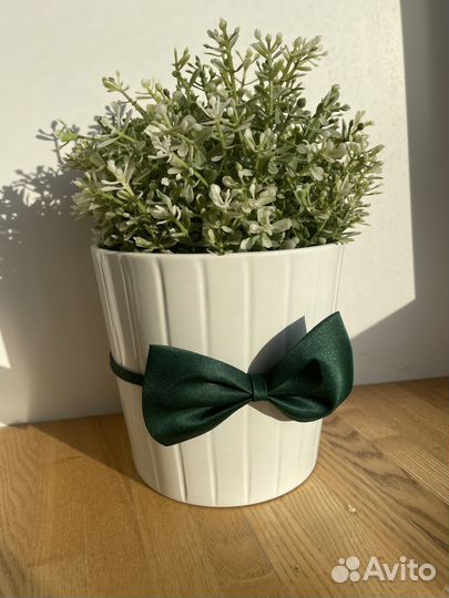 Галстук бабочка