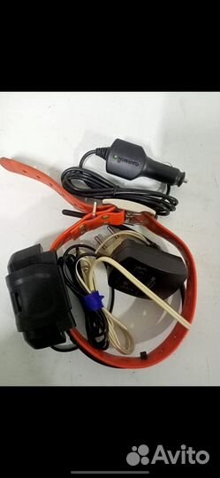 Ошейник для собак Garmin DC 30, DC 40