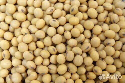 Соя продам