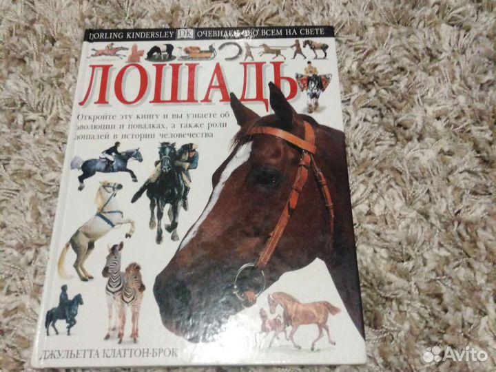 Детские энциклопедии