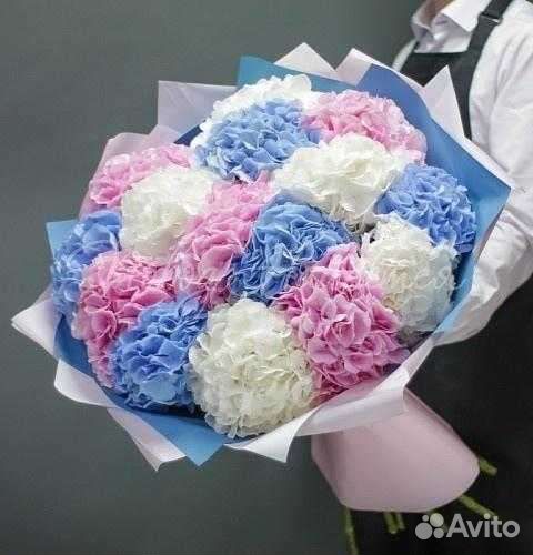Букет цветы гортензии с доставкой 11, 21, 31 41 шт