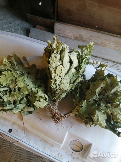 Дубовые веники для бани