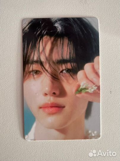 Фотокарточка Сонхун оригинал