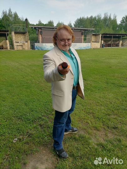 Ведущие на свадьбу