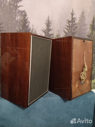 Акустическая система 10мас-1М, колонки, набор