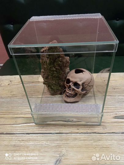 Террариумы, паучатники