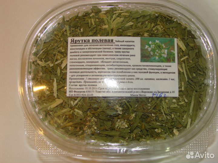 Ярутка полевая