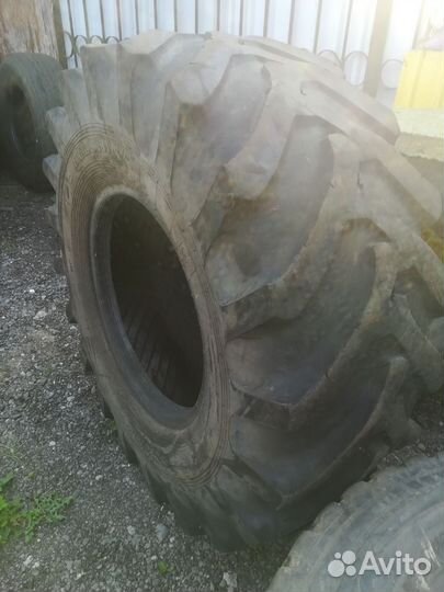 21.3-24 ияв-79 L-2