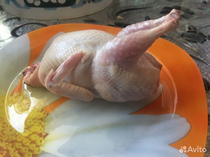 Мясо и яйцо перепелов