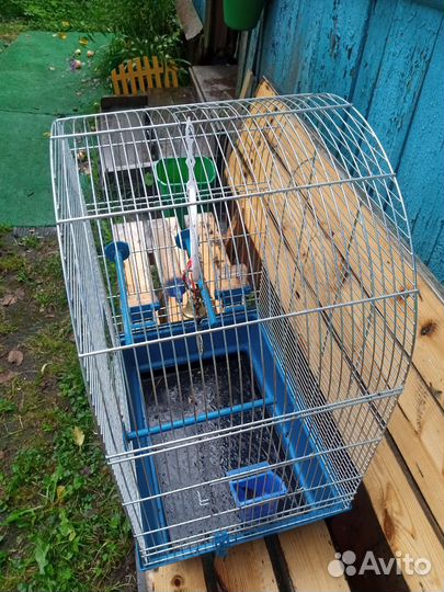 Клетка для попугая