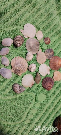 Для декора и оформления