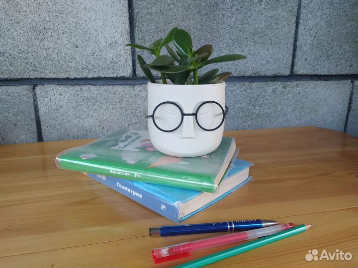 Цветок на рабочий стол ученику/педагогу/в офис