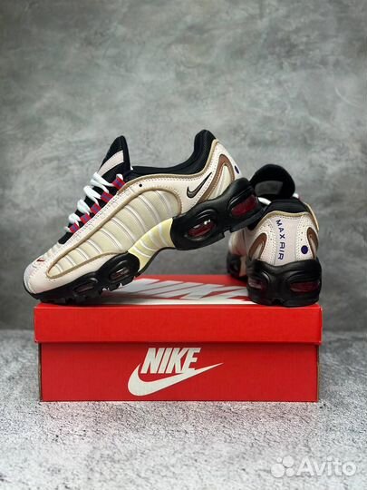 Кроссовки Nike Air Max Tailwind 4 Neutral Color