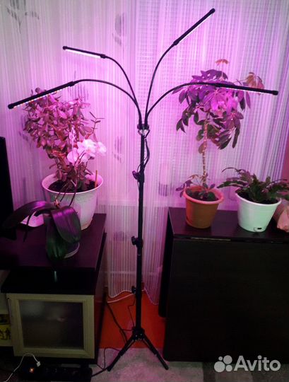 Новая фитолампа для цветов и растений светодиодная