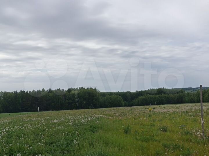 Участок 1,42 га (СНТ, ДНП)