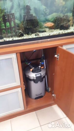 Аквариум