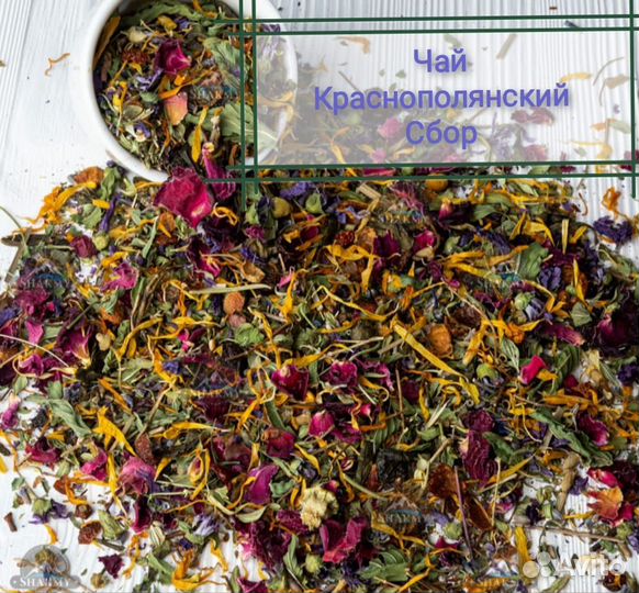 Чай Краснополянский сбор