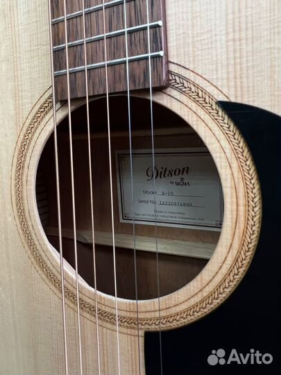 Акустическая гитара Ditson D-10