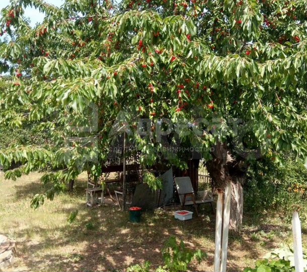 Участок 5 сот. (СНТ, ДНП)