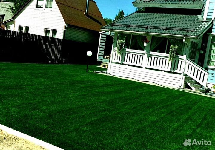 Рулонный газон