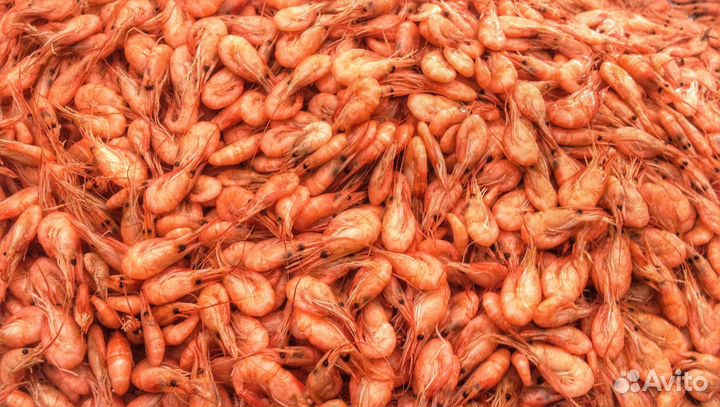 Креветка азовская в/м