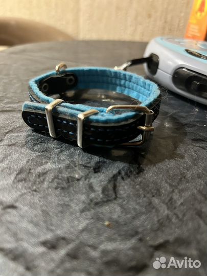 Ошейник и поводок для собаки