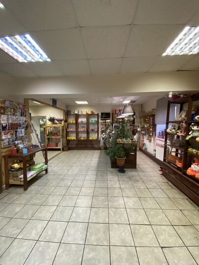 Свободного назначения, 260 м²