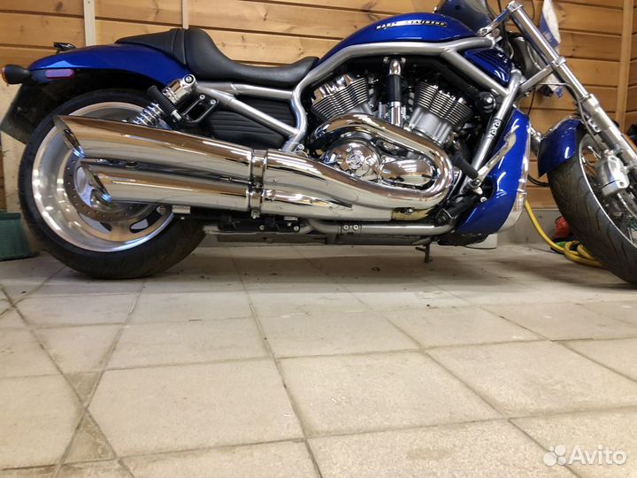 Harley Davidson v-rod