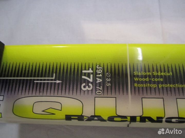 Горные лыжи rosdignol 173см