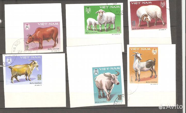 Почтовые марки. Домашние животные