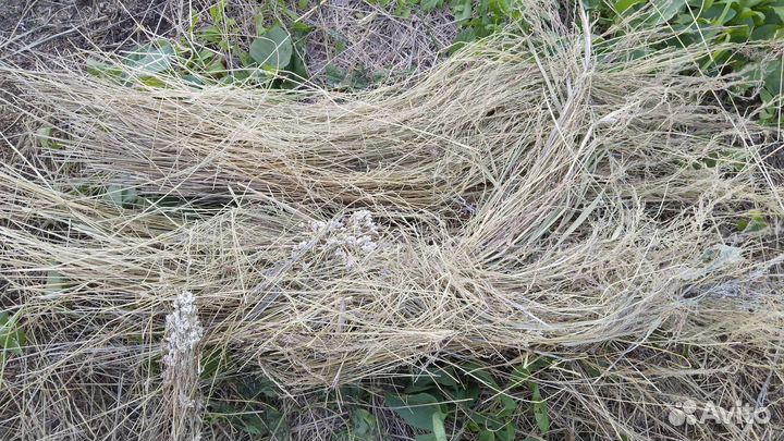 Сено и солома