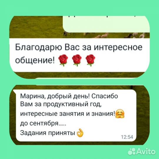 Репетитор англ.яз