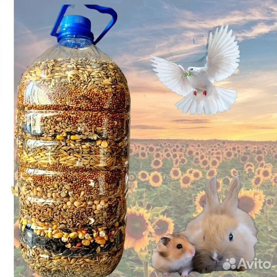 Зерно смесь для грызунов