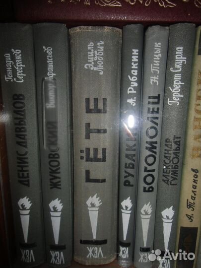 Книги серии жзл