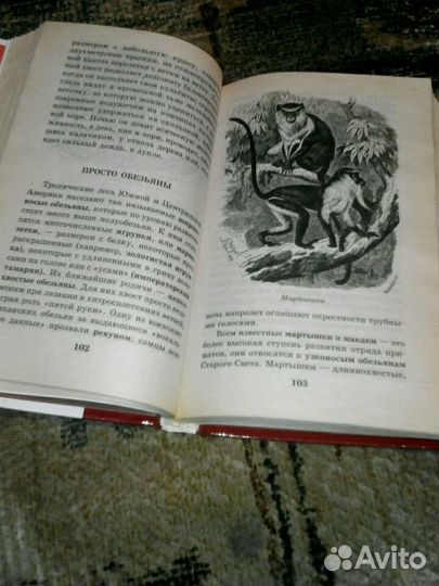 Энциклопедия. Я познаю мир. Звери