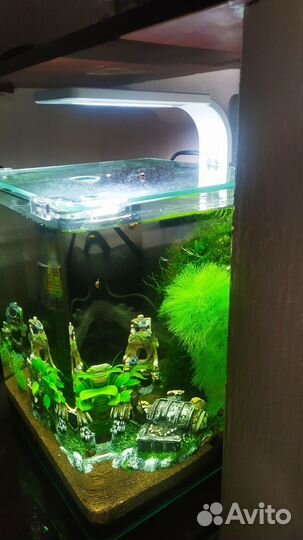 Аквариум dennerle 20л