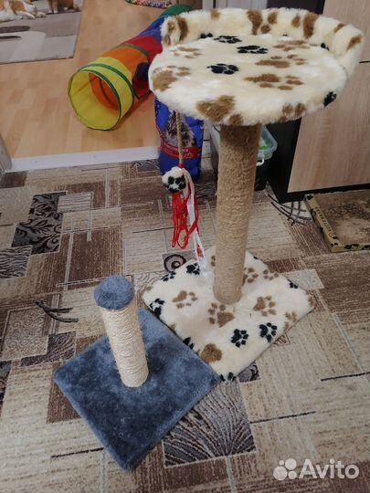 Когтеточка