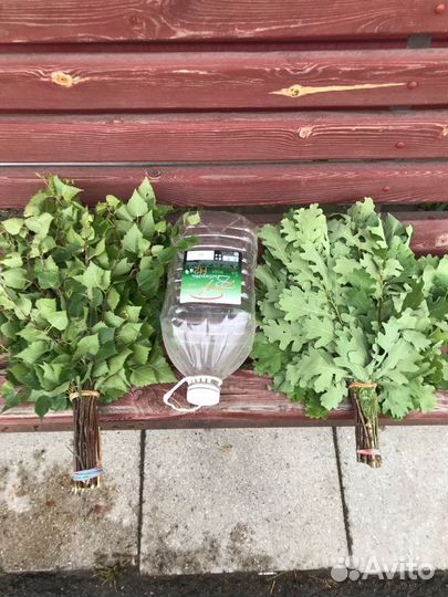 Веники дуб,берёза