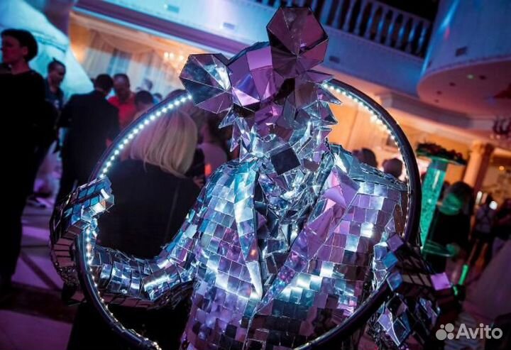 Зеркальные драконы/Зайцы на велком зону